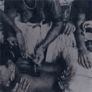 Momus - Momus In Samoa flac download