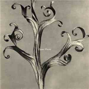 Erika Nesse - Let My Machine Talk To Me flac download