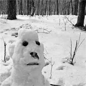 Ethyl Snowman - Scalar Field flac download