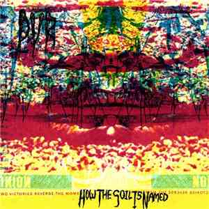 Dvr - How The Soil Is Named flac download