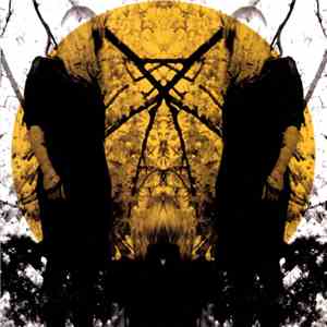 Austra - Feel It Break flac download