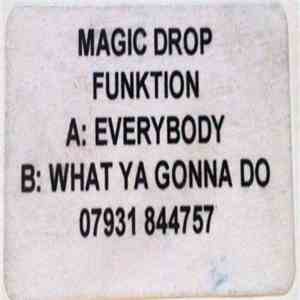 Funktion  - Everybody / What Ya Gonna Do flac download