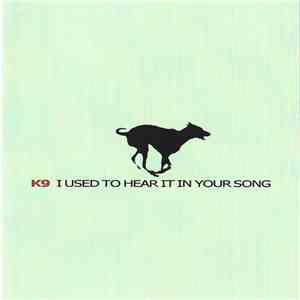 K9  - I Used To Hear It In Your Song flac download