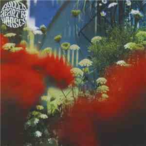 Pulled Apart By Horses - The Haze flac download