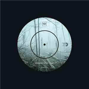 Unknown Artist - Lost flac download