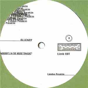 Allenby - Nobody's In The House Tonight flac download