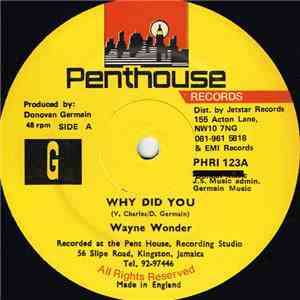 Wayne Wonder - Why Did You flac download