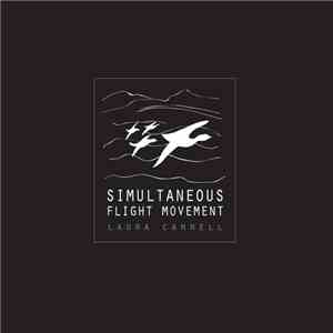Laura Cannell - Simultaneous Flight Movement flac download