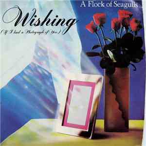 A Flock Of Seagulls - Wishing (If I Had A Photograph Of You) flac download