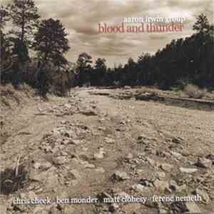 Aaron Irwin Group - Blood And Thunder flac download