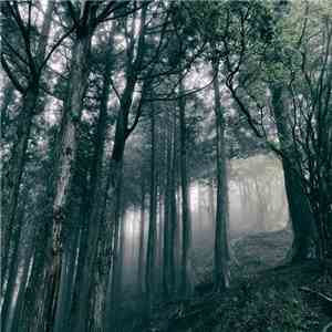 Akira Kosemura - In The Dark Woods flac download