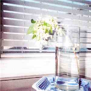 Jandek - Portland Thursday flac download