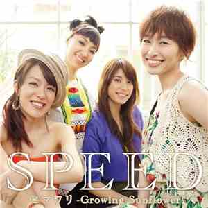 Speed  - ヒマワリ -Growing Sunflower flac download