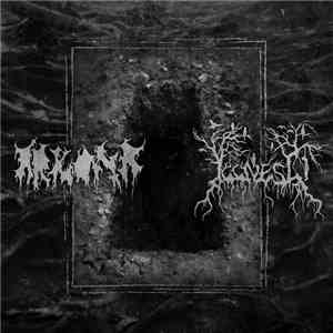 Arkona / Illness  - Klucz Do Istnienia / Zaraza flac download
