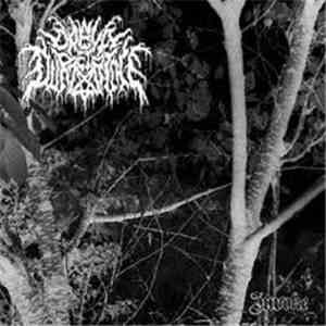Daeva Durzeiriche - Invoke flac download