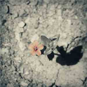 Dave Dorgan  - Such Is Our Condition flac download