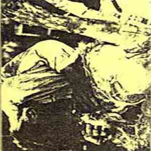 Exhumed - Goregasm flac download