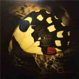Ossicles - Music For Wastelands flac download