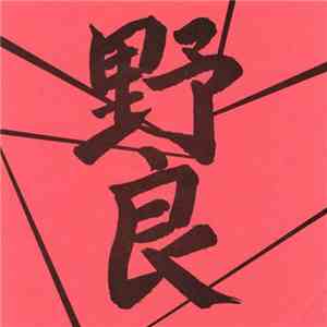 野良 - 野良 flac download