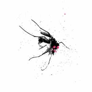 Grackle - Jungle flac download