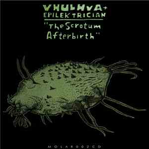 Vhulhva / Epilektrician - The Scrotum Afterbirth flac download
