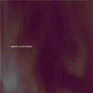 9beats - Lucid Dream flac download