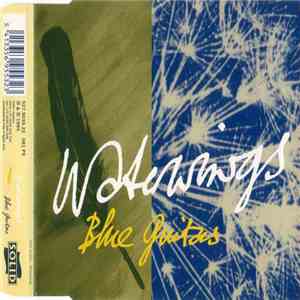 Blue Guitars - Waterwings flac download