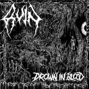Ruin  - Drown In Blood flac download