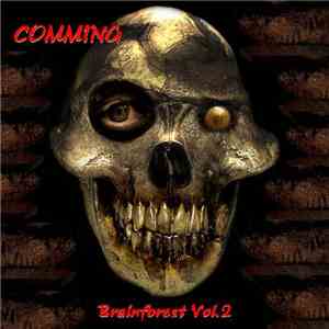 Various - Comming - Brainforest Vol. 2 flac download