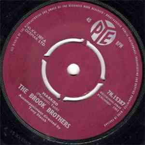 The Brook Brothers - Married flac download