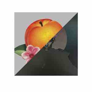 Phoenix - S.O.S. In Bel Air (Jackson And His Computer Band Remix) flac download