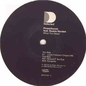 Powerhouse Feat. Duane Harden - What You Need (Part 2) flac download