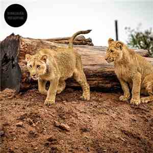 Sylvain Chauveau - Post-Everything flac download