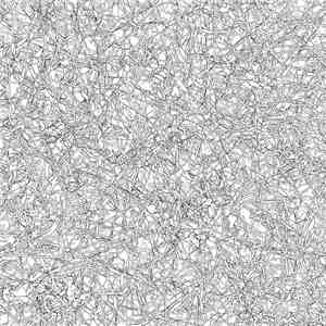 TRANSPARENTZ × 坂田明 - 全面照射　Multidirectional Radiation flac download