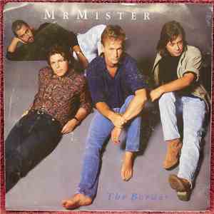 Mr. Mister - The Border flac download