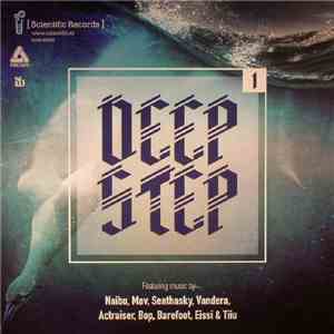 Various - Deepstep 01 LP flac download