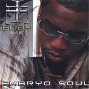 Eijay - Embryo Soul flac download
