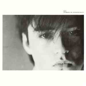 Felt - Crumbling The Antiseptic Beauty flac download
