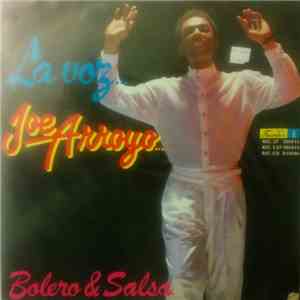 Joe Arroyo - La Voz: Bolero & Salsa flac download