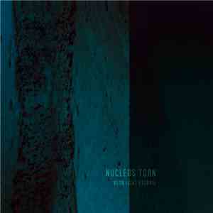 Nucleus Torn - Neon Light Eternal flac download