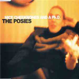 The Posies - Nice Cheekbones And A Ph.D. flac download