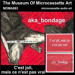 AKA_Bondage - C'est Joli, Mais Ce N'est Pas Vrai flac download