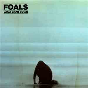 Foals - What Went Down flac download