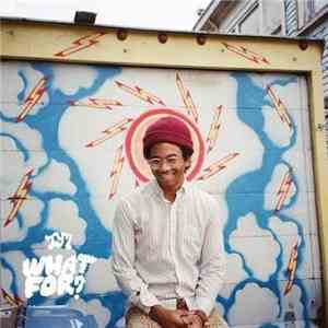 Toro Y Moi - What For? flac download
