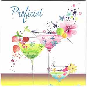 Various - Proficiat flac download