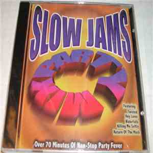 Various - Slow Jams Party Mix flac download