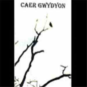 Caer Gwydyon - To The Woods I Rode flac download