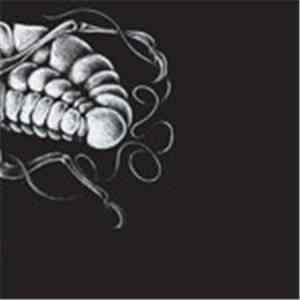 Cease.  - Cicada flac download
