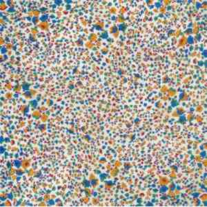 The Pharmacy - Weekend flac download
