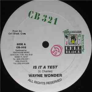 Wayne Wonder / Computer Paul - Is It A Test / Version flac download
